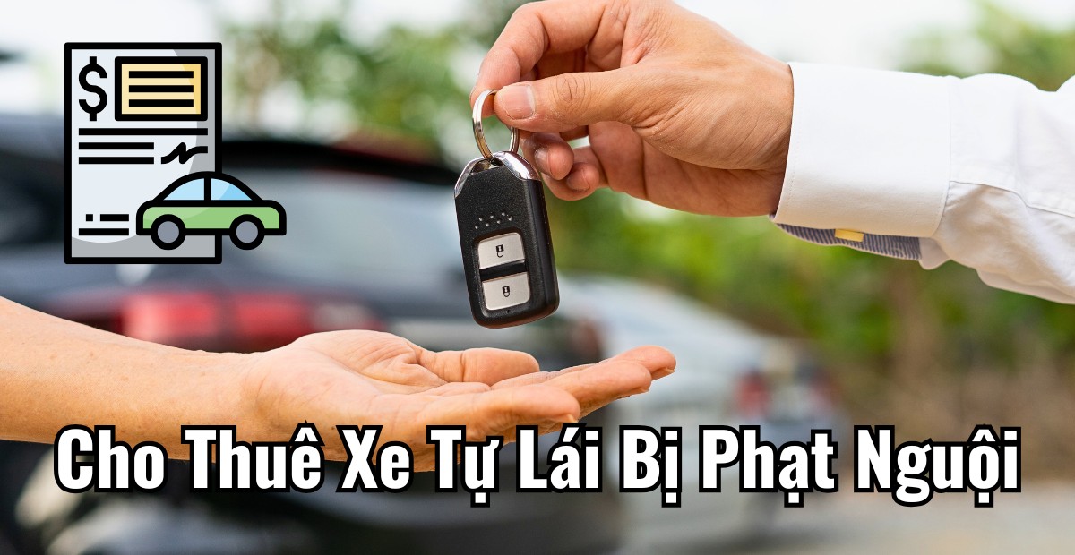 Cho Thuê Xe Tự Lái Bị Phạt Nguội